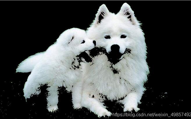 Java swing 圖像處理多種效果實現教程