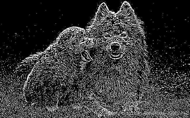 Java swing 圖像處理多種效果實現教程