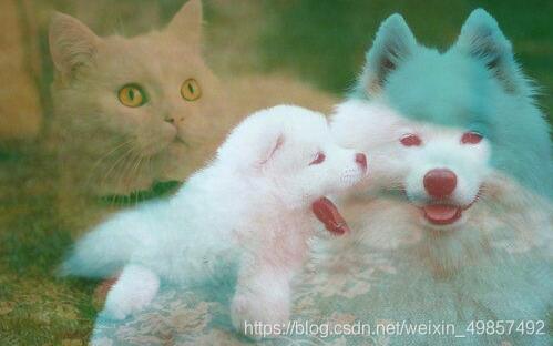 Java swing 圖像處理多種效果實現教程