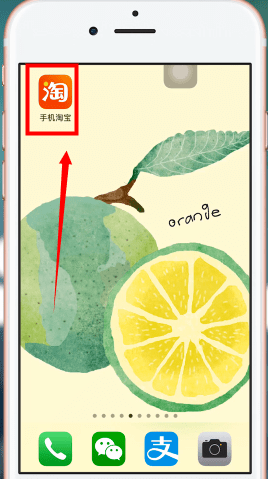 手機淘寶中投訴快遞員具體操作流程