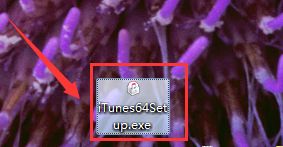 windows7系統中安裝itunes的詳細操作步驟
