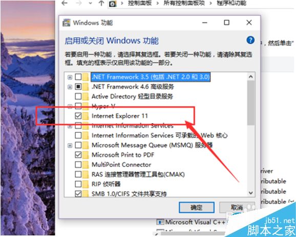 Win10系統(tǒng)怎么卸載IE瀏覽器?Win10系統(tǒng)卸載IE瀏覽器教程