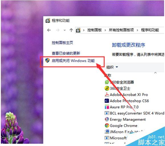 Win10系統(tǒng)怎么卸載IE瀏覽器?Win10系統(tǒng)卸載IE瀏覽器教程