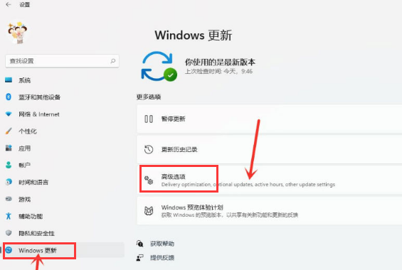 Windows11打開傳遞優化功能教程分享