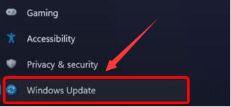 Windows11更新攝像頭驅(qū)動步驟介紹
