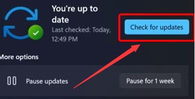 Windows11更新攝像頭驅(qū)動步驟介紹