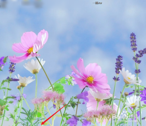 window10任務欄消失了怎么辦？