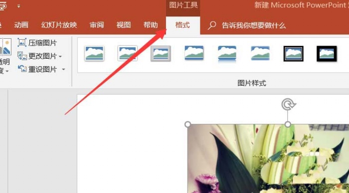 ppt制作出各種各樣圖形樣式的操作步驟