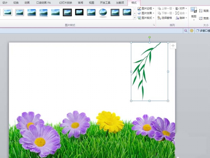 ppt設計出柳條生長動畫效果的操作步驟