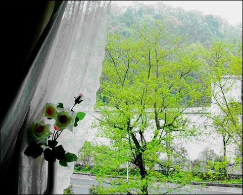 美圖秀秀將晴天背景圖片轉換為下雨背景效果圖片具體操作步驟