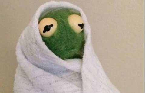 微信朋友圈為什么換青蛙頭像