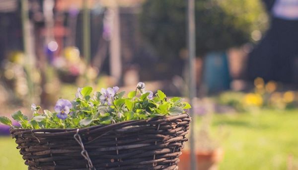 發朋友圈平安健康句子 發朋友圈平安健康的文案