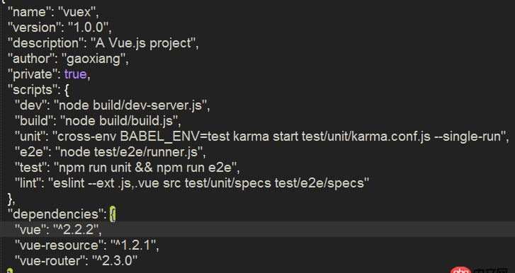 html5 - npm install vuex -s 時報錯