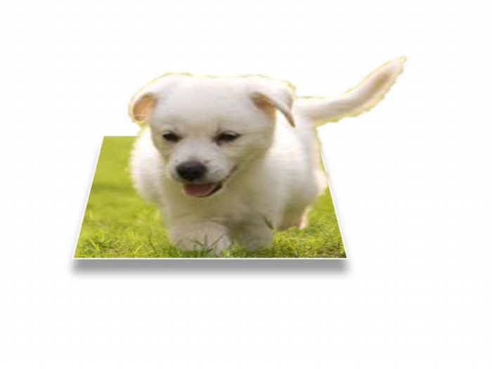 使用ppt制作出3d立體效果圖片的具體操作方法