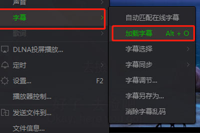愛奇藝萬能播放器怎么調字幕 手把手教你調出好字幕