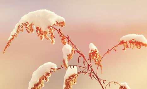 2018朋友圈立冬心情圖分享 非常適合發(fā)朋友圈