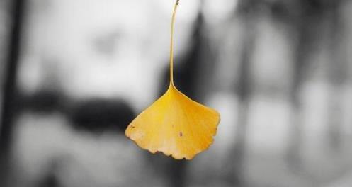 2018朋友圈立冬心情圖分享 非常適合發(fā)朋友圈