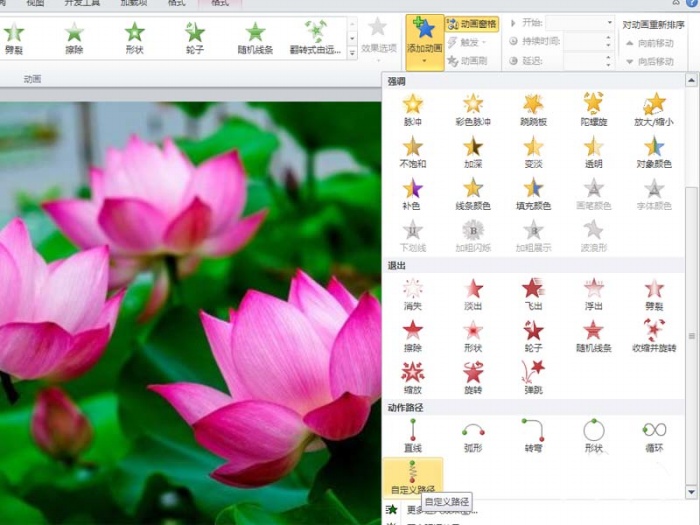 ppt制作出小荷才露尖尖角動畫場景的具體操作步驟