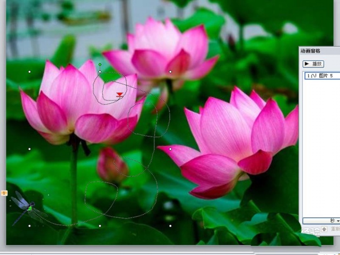 ppt制作出小荷才露尖尖角動畫場景的具體操作步驟