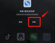 搜狗瀏覽器進行卸載圖文操作