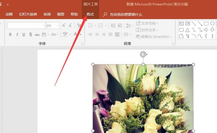 使用ppt制作出各種各樣圖形樣式的具體操作步驟