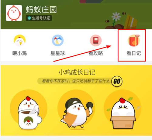 支付寶螞蟻莊園怎么更改小雞姓名 螞蟻莊園更改教程介紹
