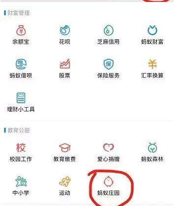 支付寶養雞的好處是什么？支付寶養雞在哪里養？