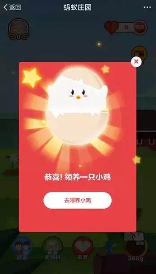 支付寶養雞的好處是什么？支付寶養雞在哪里養？