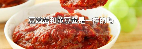 豆瓣醬和黃豆醬是一樣的嗎