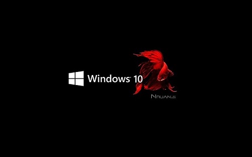 win101903安裝很慢解決方法