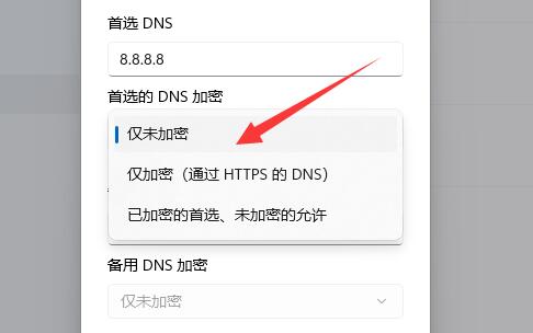 win11加密dns詳細教程