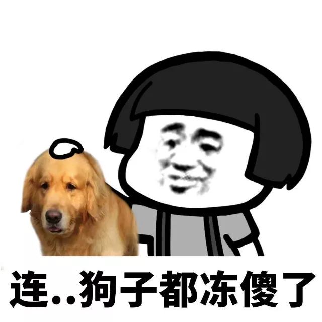 抖音我家床塌了停水了停電了表情包是什么？抖音我家床塌了表情包介紹！