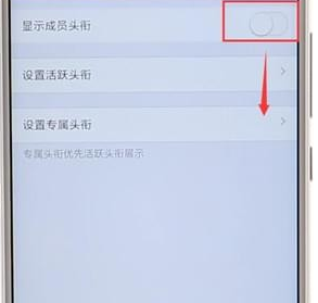 qq群更改頭銜操作過程介紹