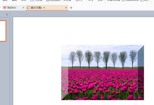 WPS為圖片添加立體棱臺(tái)效果具體操作方法