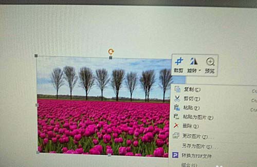 WPS為圖片添加立體棱臺(tái)效果具體操作方法