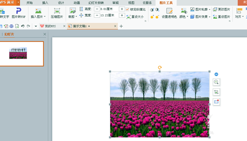 WPS為圖片添加立體棱臺(tái)效果具體操作方法