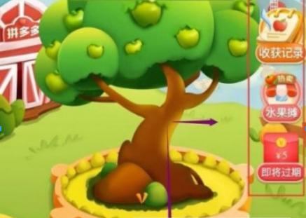 拼多多果園多久成熟？ 多多果園要種多長時間？