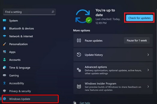 我安裝了win11是否能自動更新詳情
