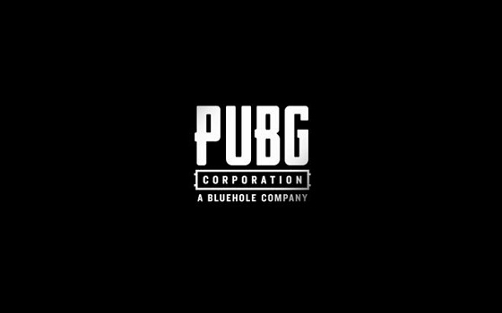 win10玩不了pubg解決方法