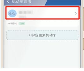 使用交管12123查詢違章圖文操作