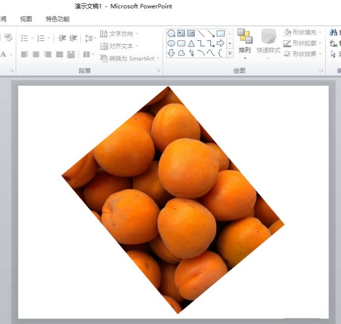 ppt2010中旋轉(zhuǎn)圖片角度具體操作方法