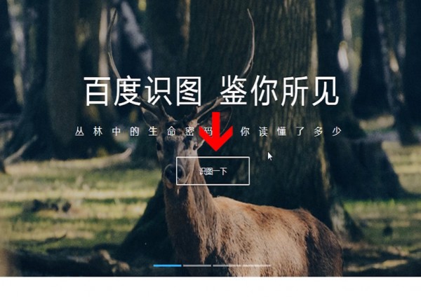 百度識圖具體玩法介紹