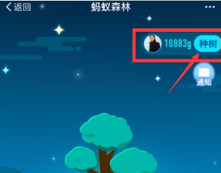 支付寶螞蟻森林環保證書如何獲取  螞蟻森林環保證書獲取教程