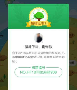 支付寶螞蟻森林環保證書如何獲取  螞蟻森林環保證書獲取教程