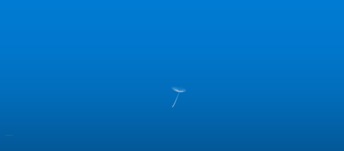 PPT做出飄舞的蒲公英和水泡動畫的詳細操作