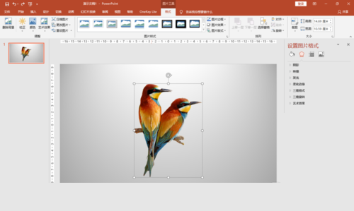 PPT制作立體邊框的操作過程