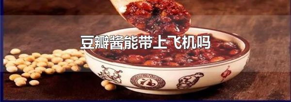 豆瓣醬能帶上飛機嗎