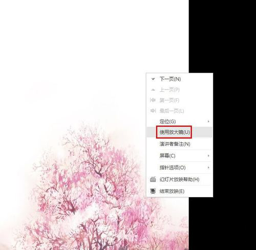 ppt中實現放大縮小具體操作步驟