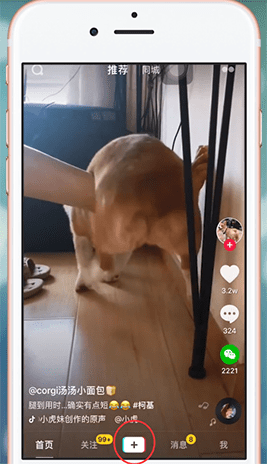 抖音APP甩狗頭特效使用操作講解