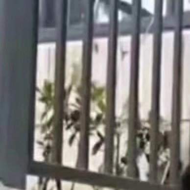 抖音奧特曼穿貂戴墨鏡社會步圖片介紹 奧特曼穿貂戴墨鏡九宮格如何弄